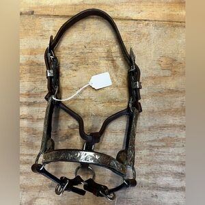 western show halter silver Miniature/pony/foal